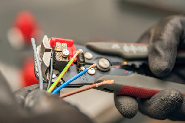 Best Local Electrician Companies  in Rushvle, IL