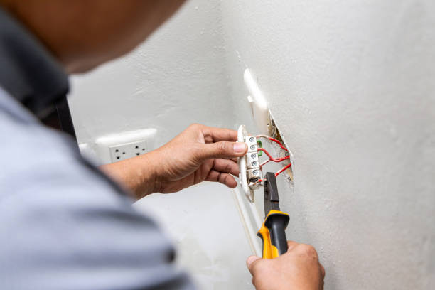 Best Electrical Repair Services  in Rushvle, IL